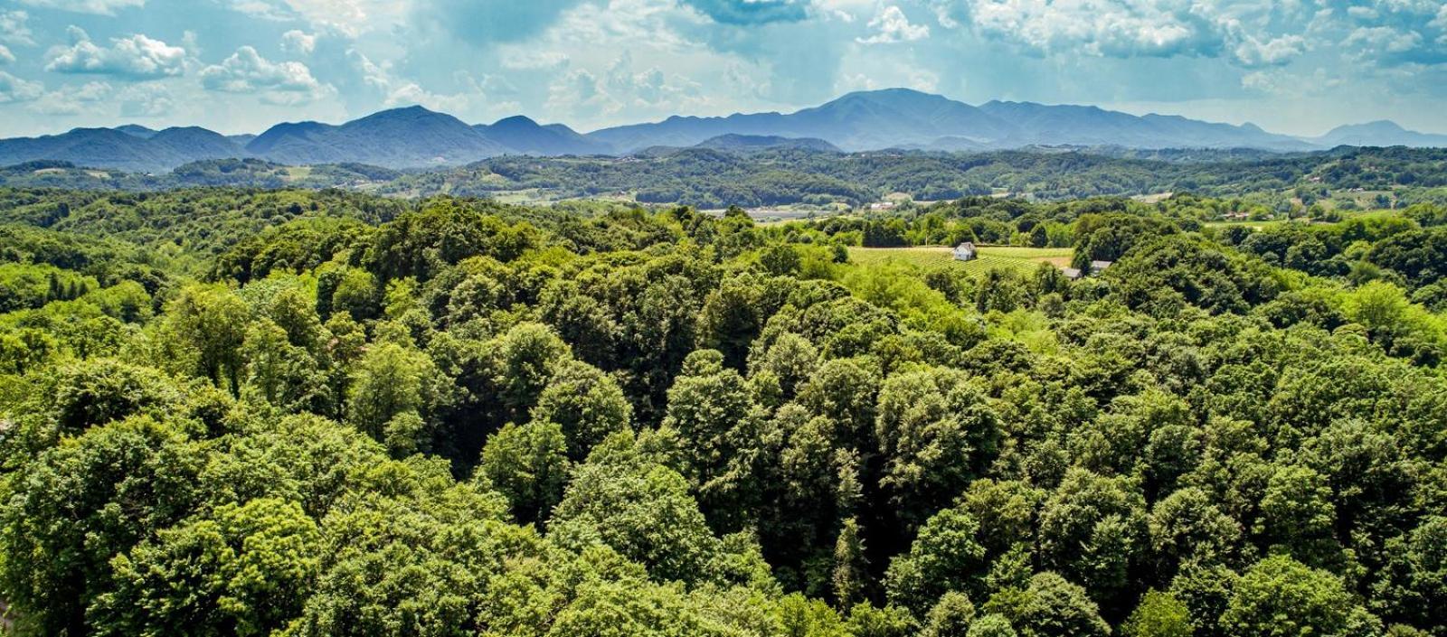 Villa La Mia Storia Beretinec Esterno foto
